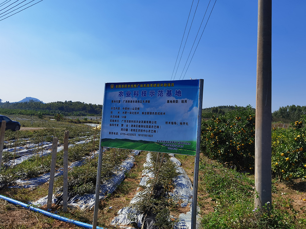 农业科技示范基地